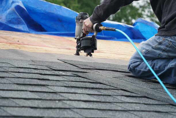 Best Roof Gutter Cleaning  in Pineville, LA